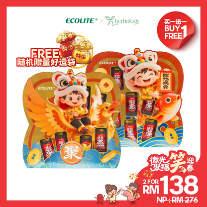 [B1F1] Wings of Fortune Gift Set + Lucky Koi Gift Set